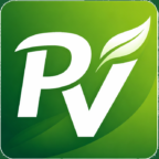 logo pv