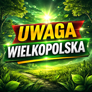 wielkopolska czyste powietrze