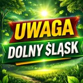 dolnyslask